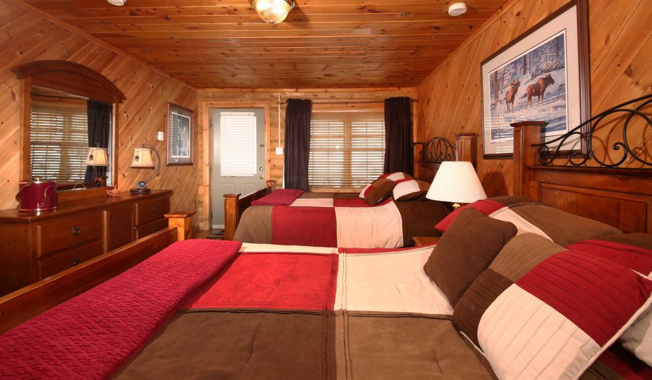 Tuckamore Lodge Main Brook Екстериор снимка